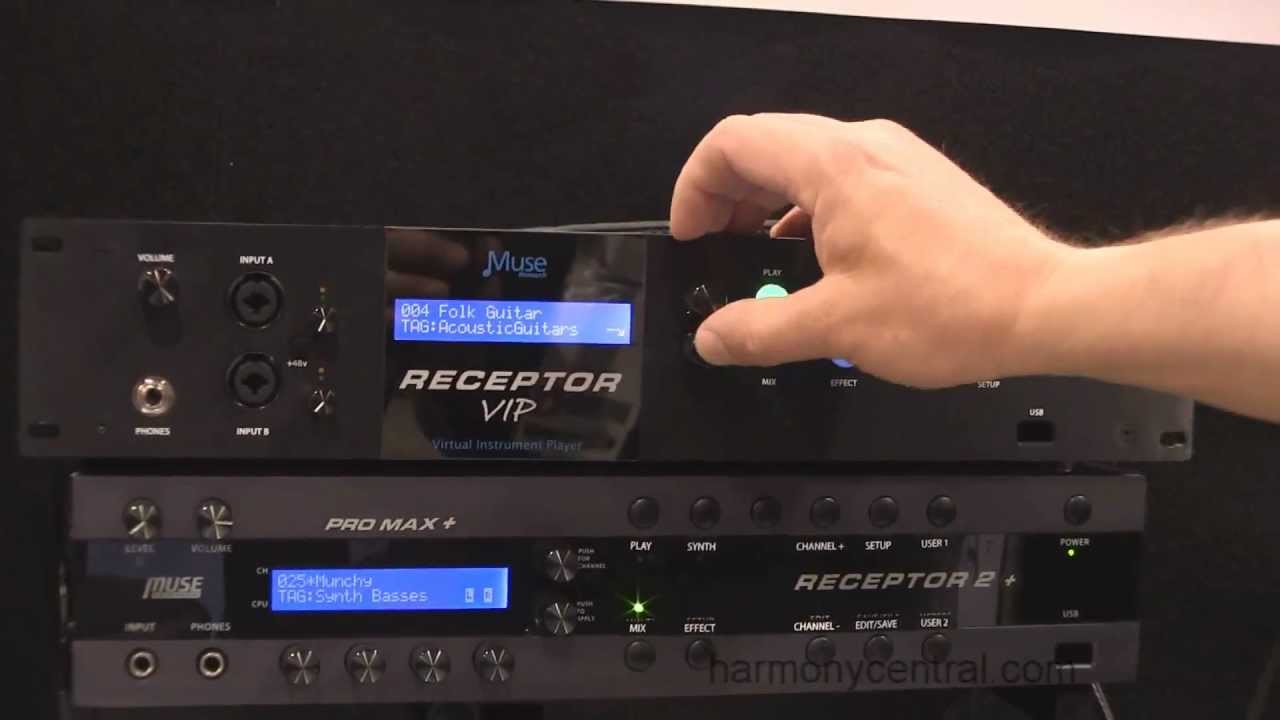 Muse Research Receptor VIP