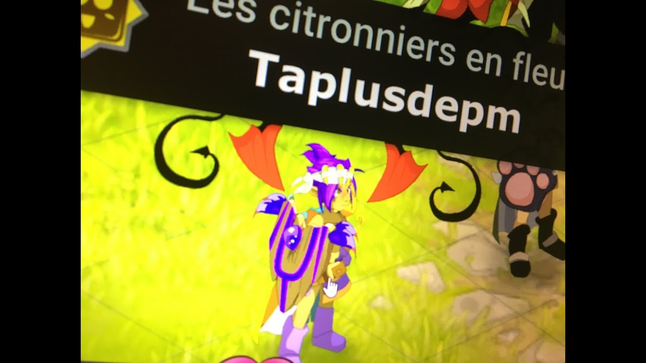 DOFUS : pr&eacute;sentation stuff cra lvl 80 pvp eau .