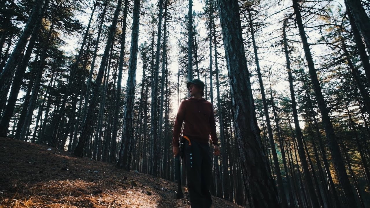 Campfire With Caretta - Hakan Onat