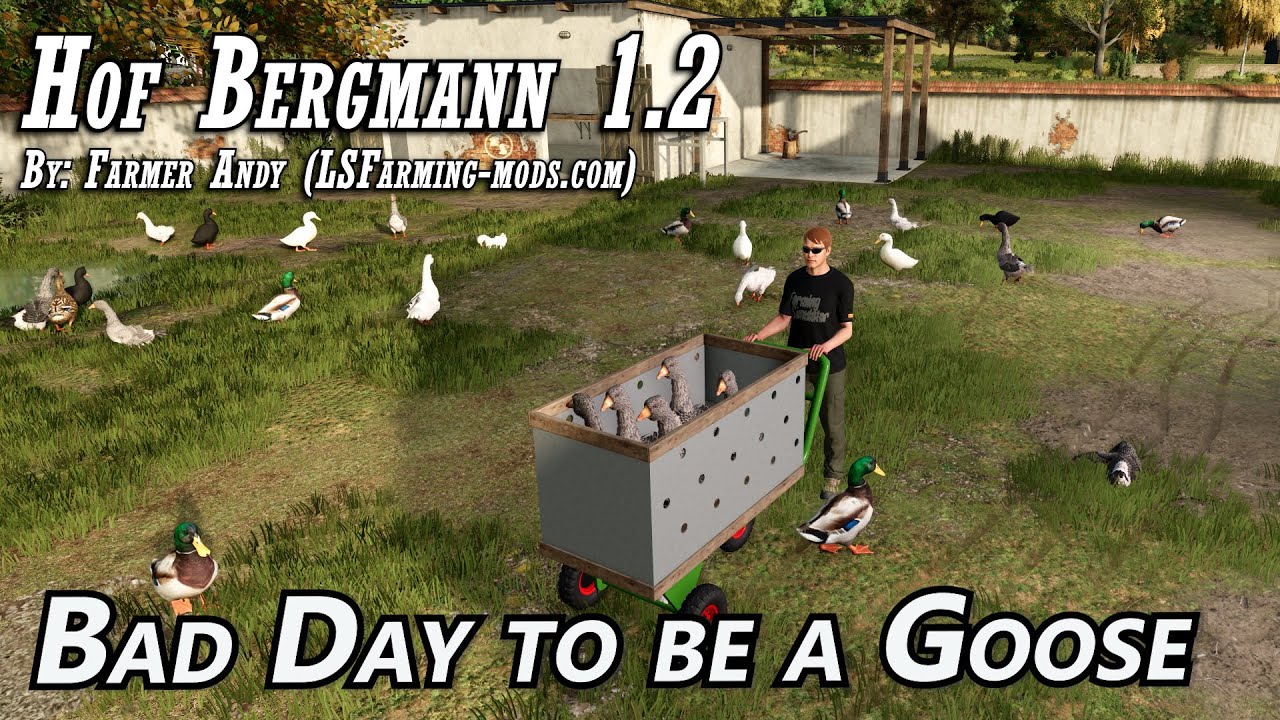 Not the best day to be a Goose - Hof Bergmann 1.2  - Farming Simulator 25