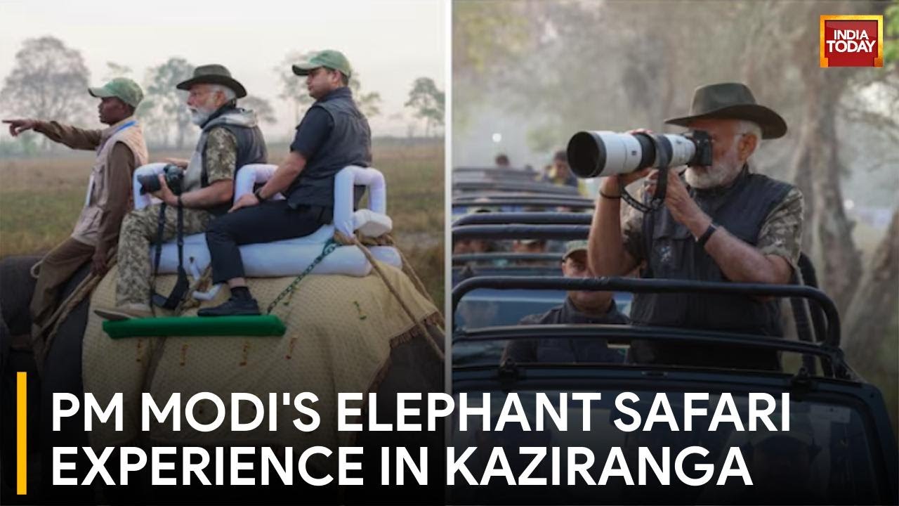 PM Modi Takes Elephant Safari in Kaziranga, Inaugurates Projects in Assam