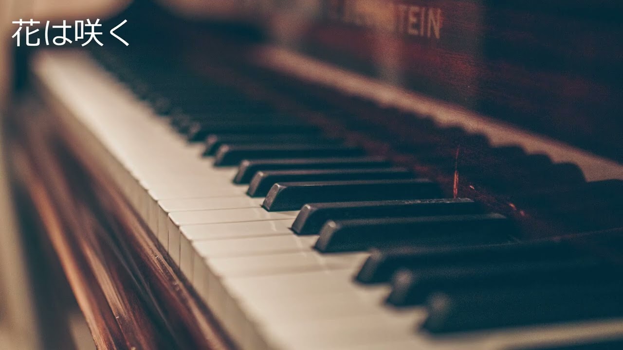 花は咲く (Flowers Will Bloom) / 花は咲くプロジェクト