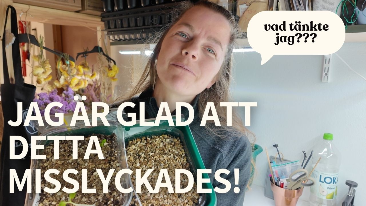 Detta hade kunnat gå illa på riktigt ändå.. Gro fröer i groddlåda 🌱