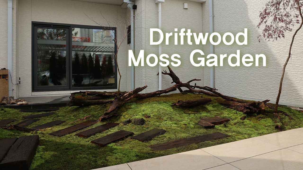 Making a 'Old and Rotten Moss Garden In the Forest' 집 중정에 오솔길 유목 이끼 정원 만들기 Central Garden