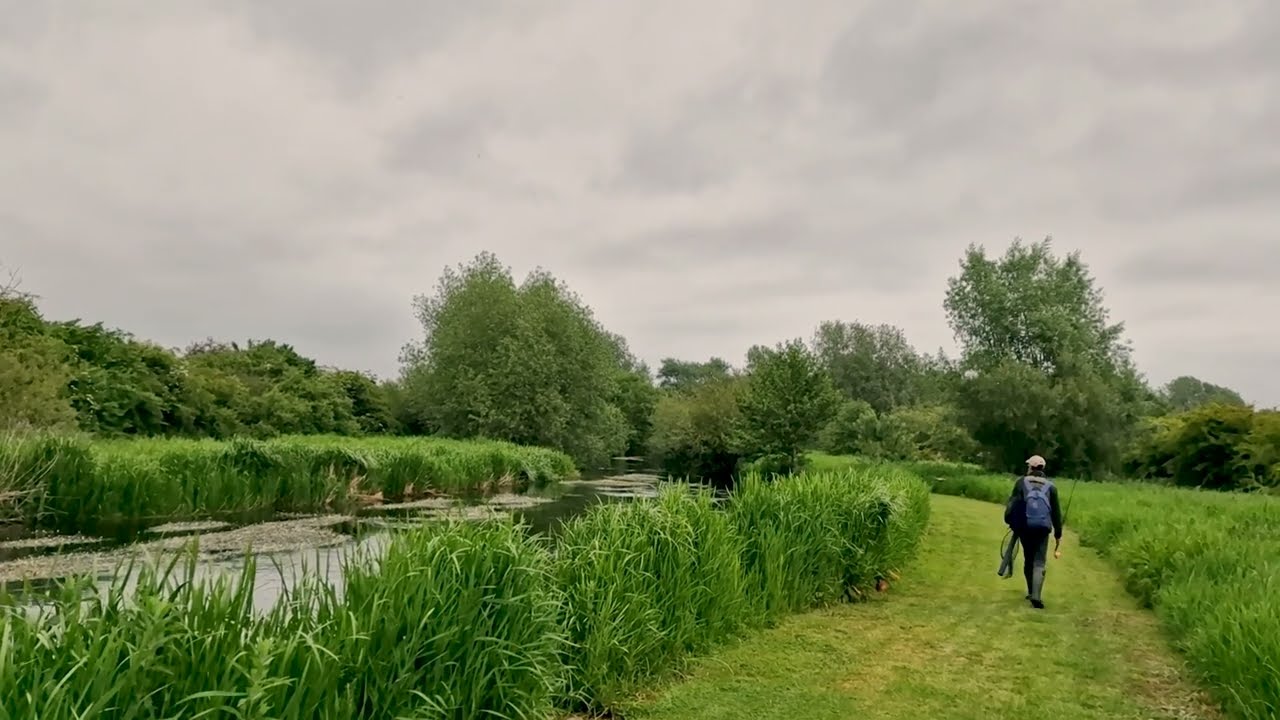 Dry Fly Fishing for Brown Trout