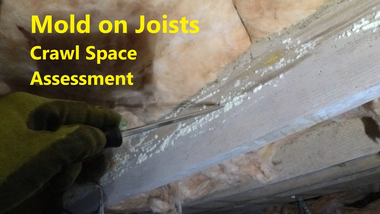 Mold remediation with RMR-86 Pro mold remover