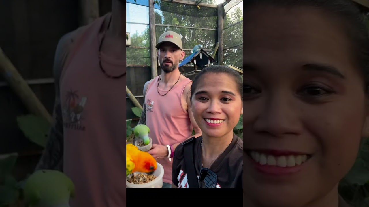 1 Island, 2 countries, unlimited fun! #sintmaarten #saintmartin #sxm #badbunny #adventure #travel