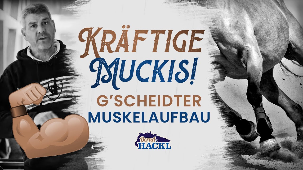 Muskelaufbau fürs Pferd: HORSEMAN HACK 🐎