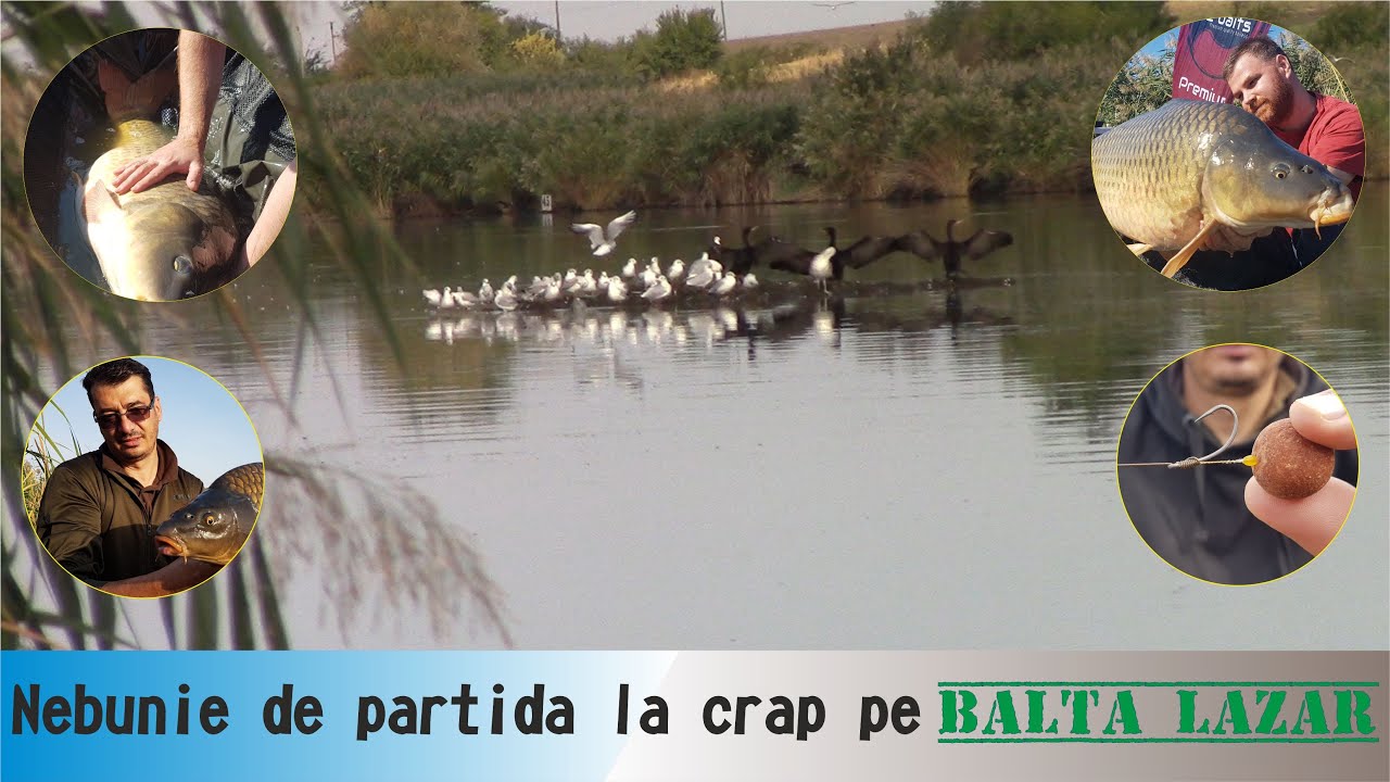 Nebunie de partida la crap pe Balta Lazar! Recital de octombrie cu multe capturi, trasaturi, driluri