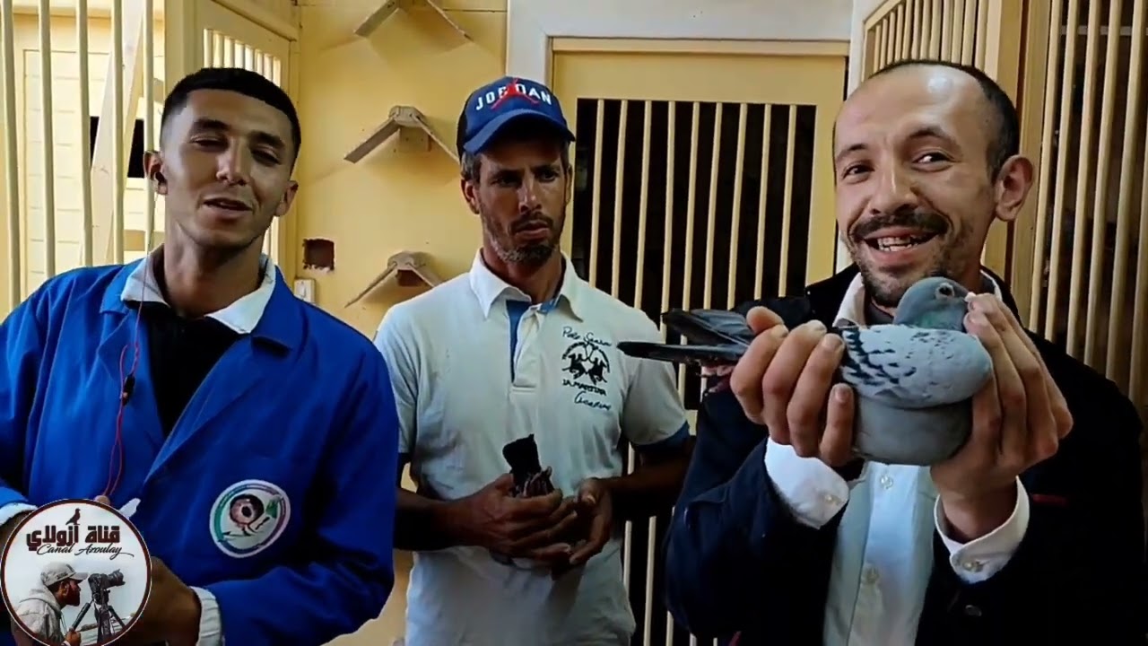 Это замечательное видео великого чемпиона Лофта, пирата, ушедшего из гоночных голубей.