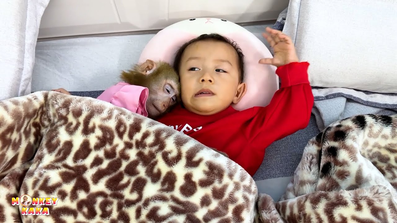 Monkey Kaka and Diem happily hug each other to sleep