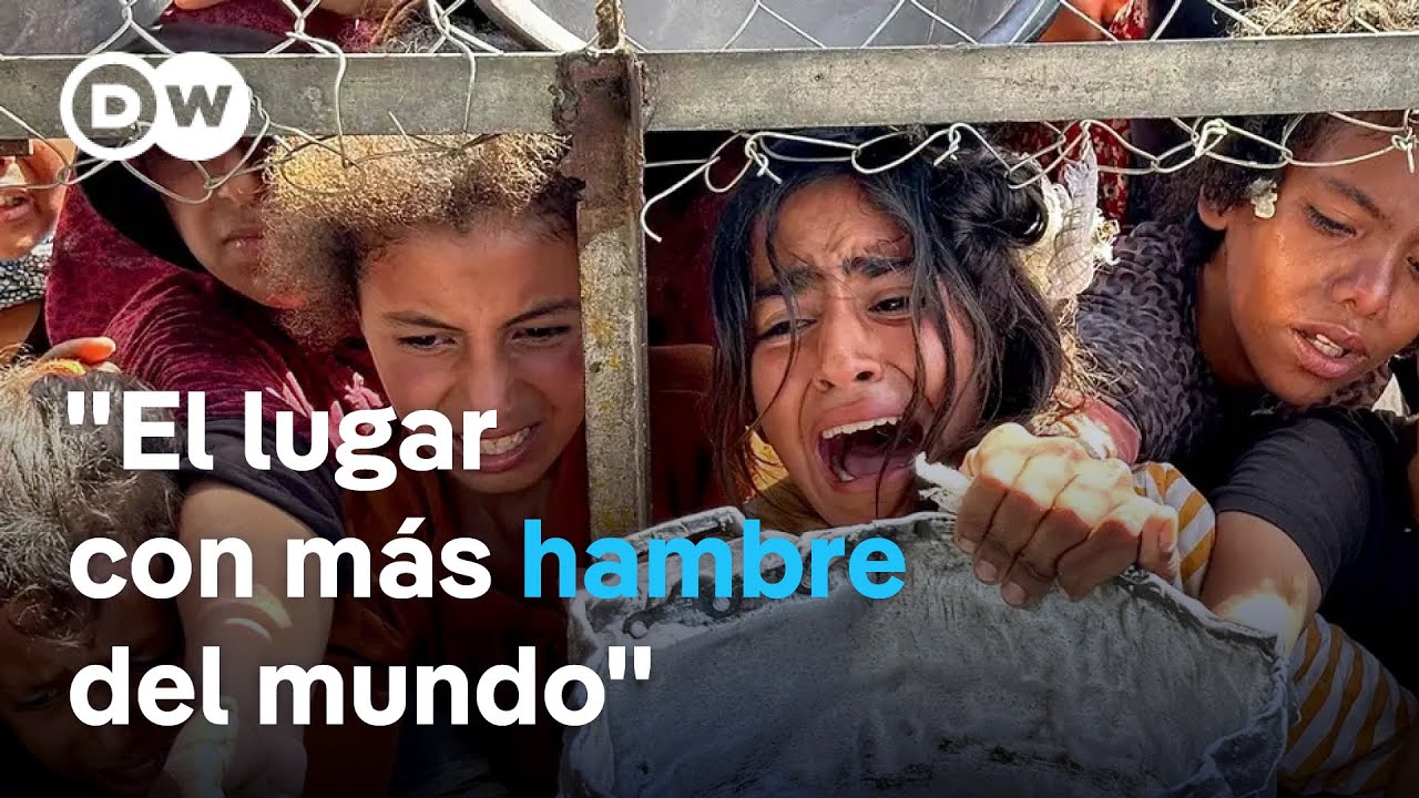 Medio mill&oacute;n de personas corren el riesgo de morir de inanici&oacute;n en Gaza, alerta la ONU