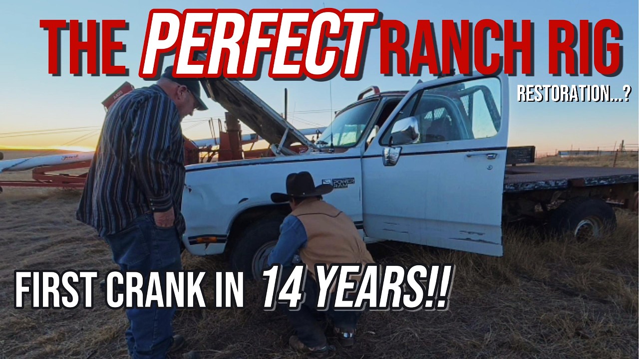 Parked in a field for 14 YEARS....think I found a new project