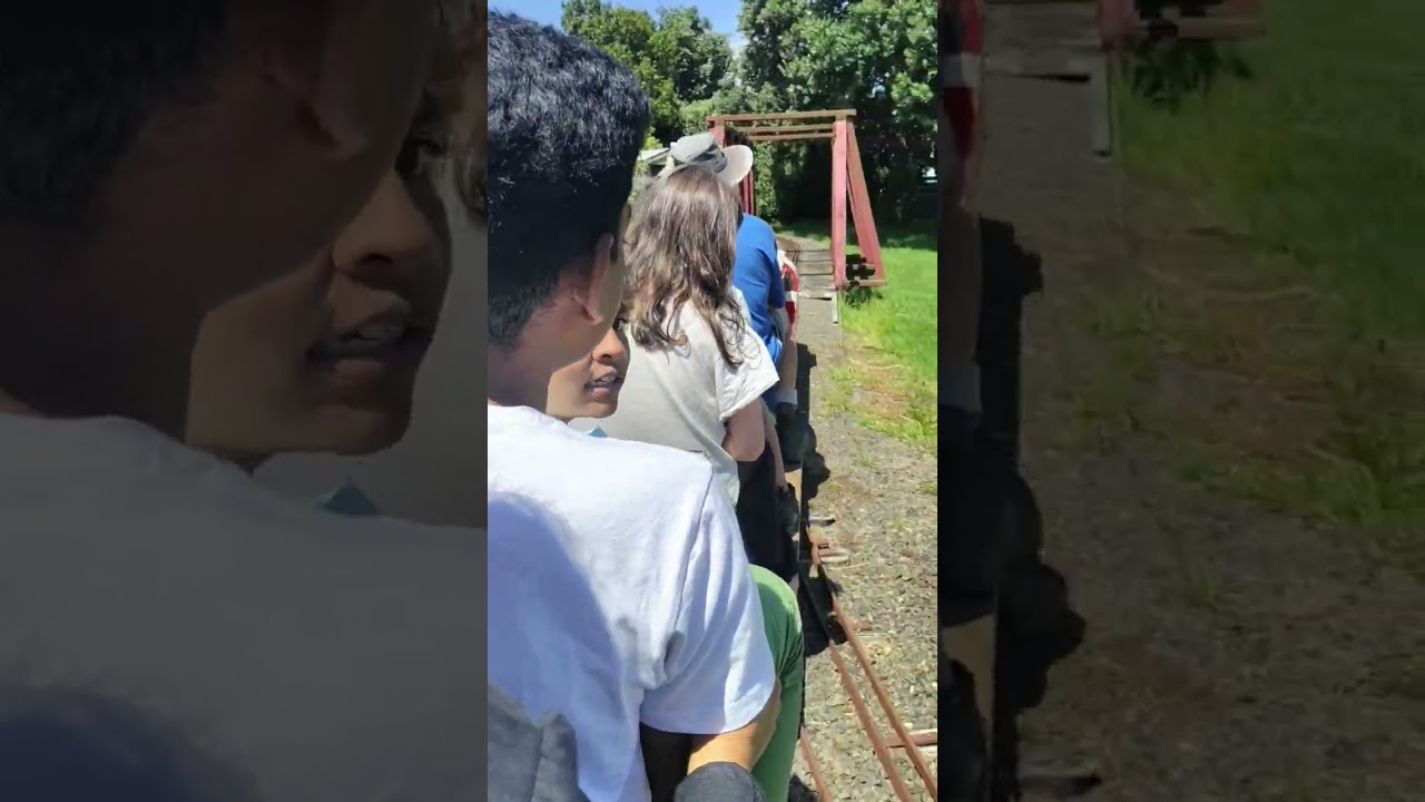 Small Gauge Train NZ