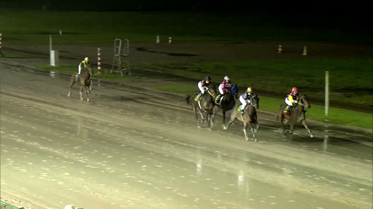 Victoria Park Wolvega 31-01-2026 Koers 2 Origetti - Hanna Huygens