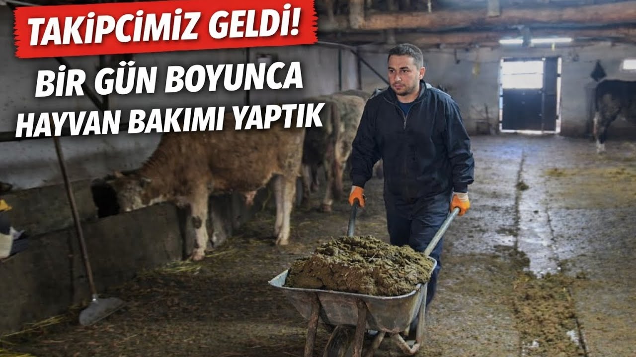 Takipçimle Çiftlikte Bir Gün 