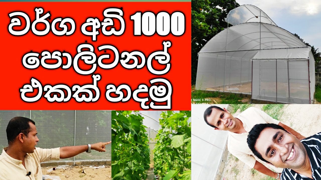 How to build a 1000 Square feet Polytunnel Greenhouse in Sri Lanka