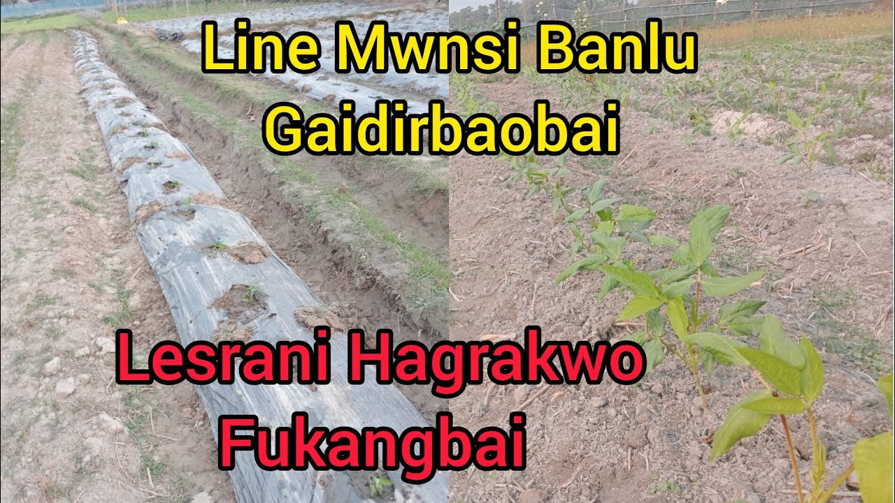 Lesrani Hagrakwo Complate Fukangbai Ep.96