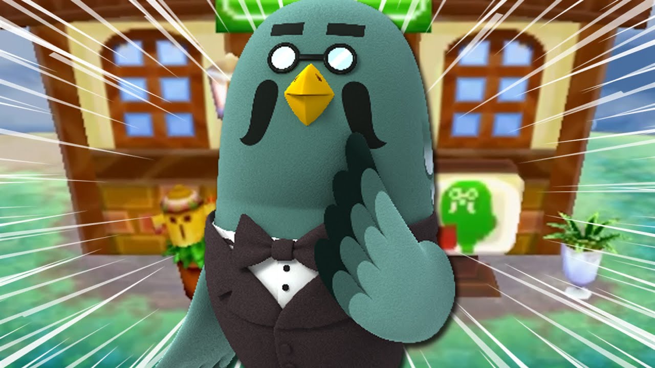 ☕ BREWSTER. IS. COMING!