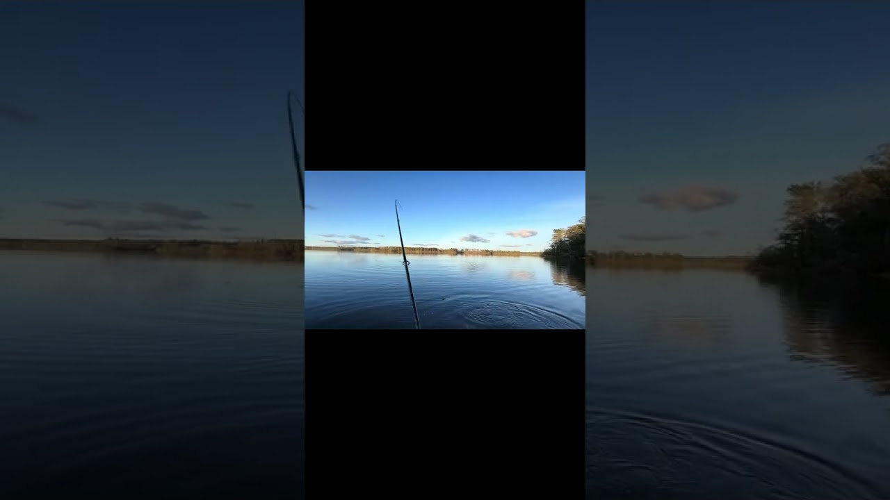 Fishing a dropshot with a Zman jerkshad  #fishing #bass #bassfishing #zmanfishing #outdoors #lake