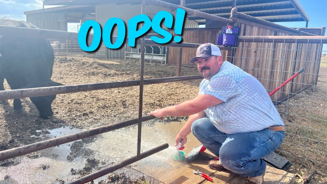 Installing Our Miraco Lil Waterer Water Trough Was Eventful!