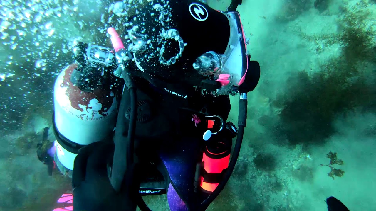 Casino Point Dive Park Catalina  January 27, 2019