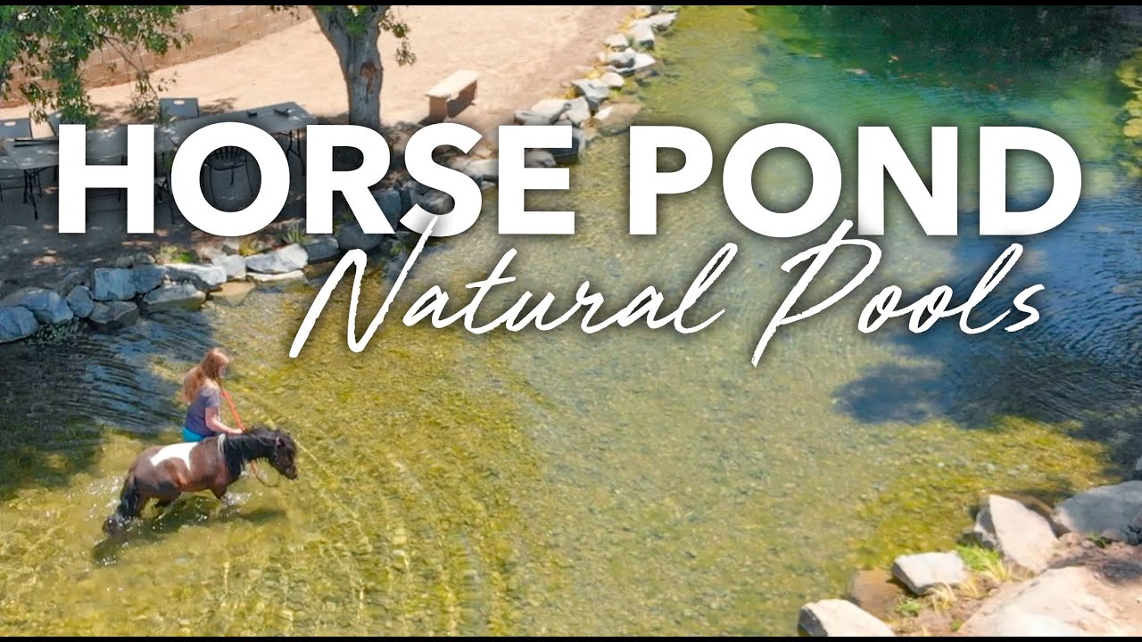 NATURAL POOLS For HORSES - No Chlorine - Aquascape SWIM POND Biological Filtration