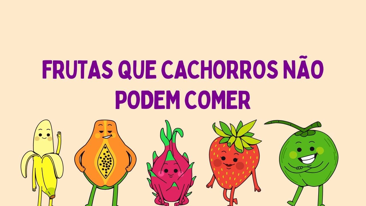 Frutas que cachorros não podem comer? I Frutas que cães não podem comer?
