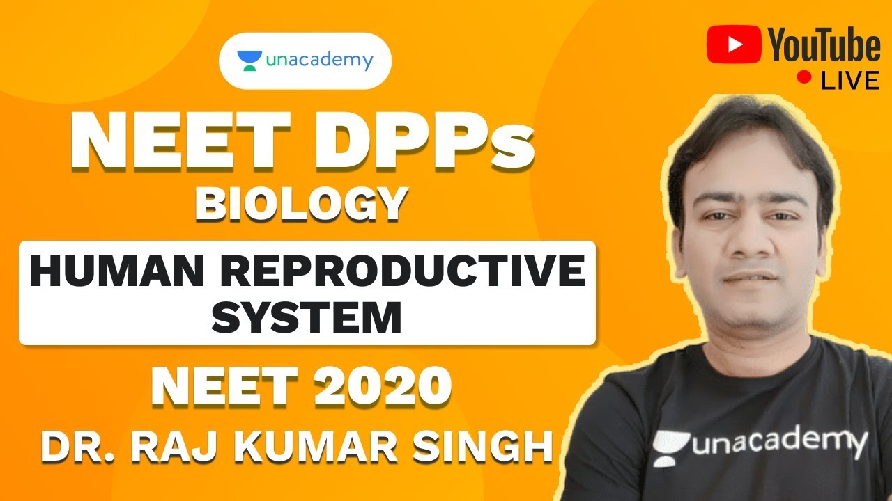 NEET 2020 DPP on Human Reproductive System | Biology | Dr. RK Sir | Unacademy Sapiens