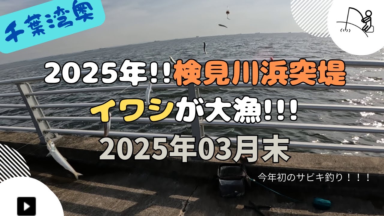 2025年春 千葉の堤防でイワシが鈴なり!! -検見川浜突堤- 【2025年03月末】