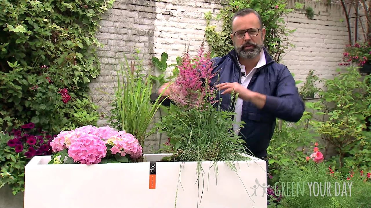 Een weelderige border in een bloempot