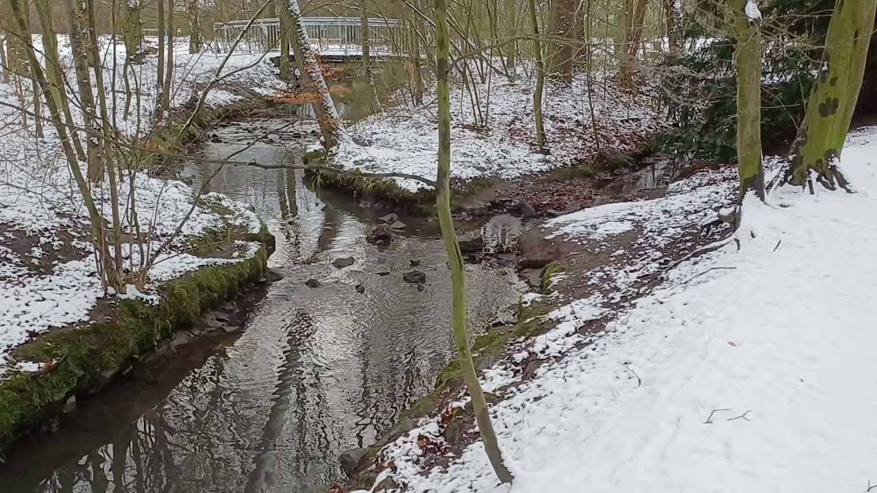 Bultkamp Park Bielefeld-Schildesche 04.01.2026