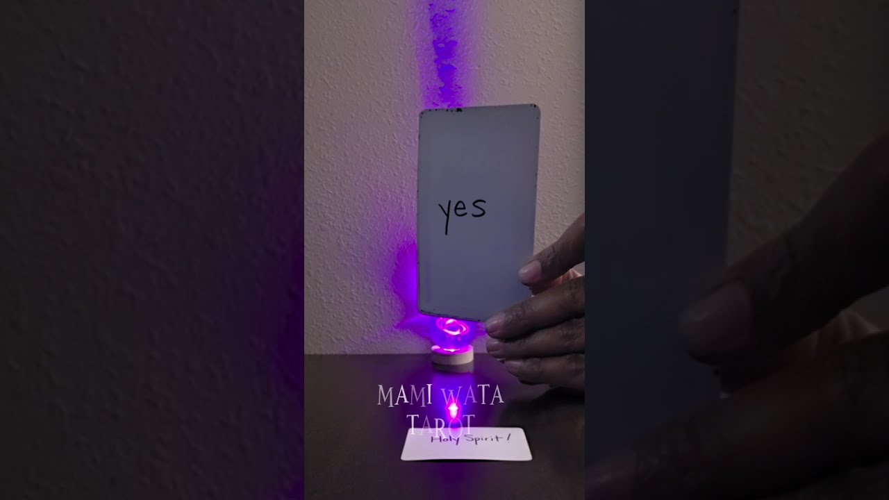 The 