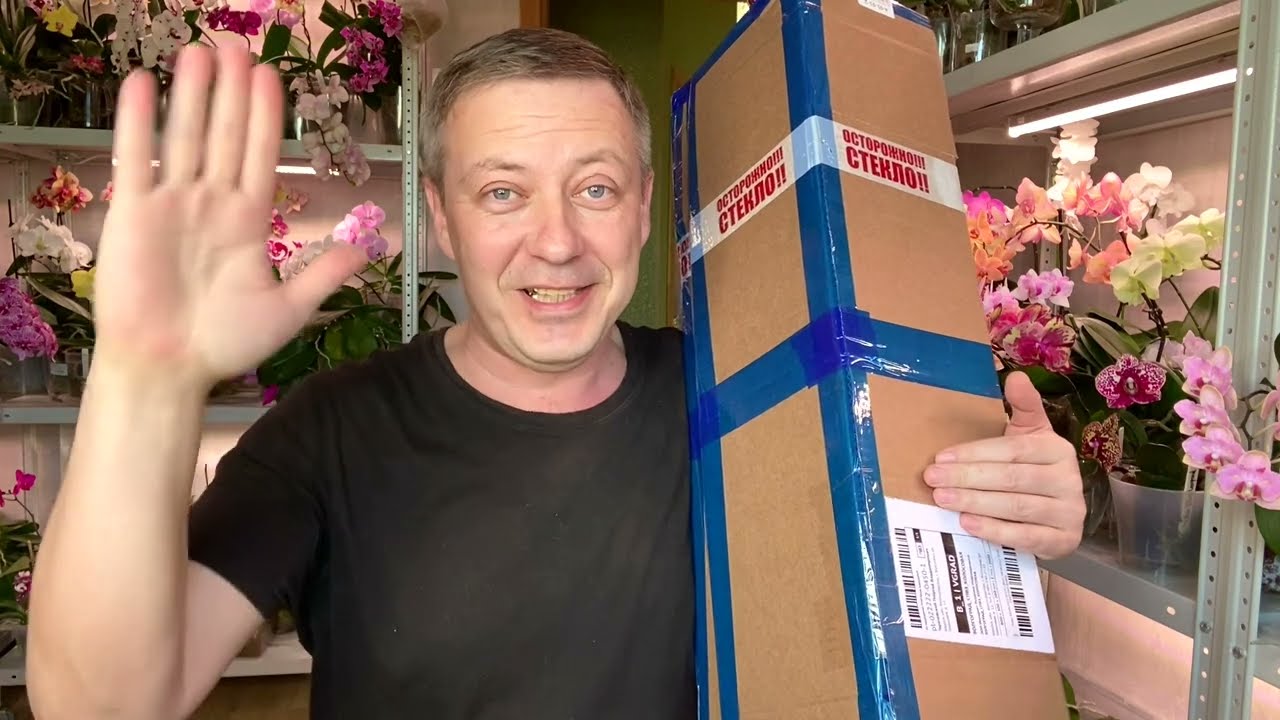 ЕЩЁ посылка с орхидеей РАСПАКОВКА и ОБЗОР НОВОЙ цветущей орхидеи из интернет магазина