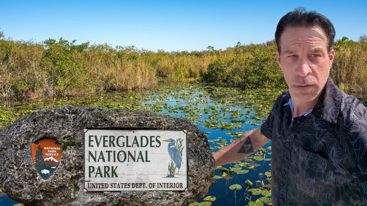 Exploring the Flamingo Marina: Wildlife Adventures in Everglades National Park