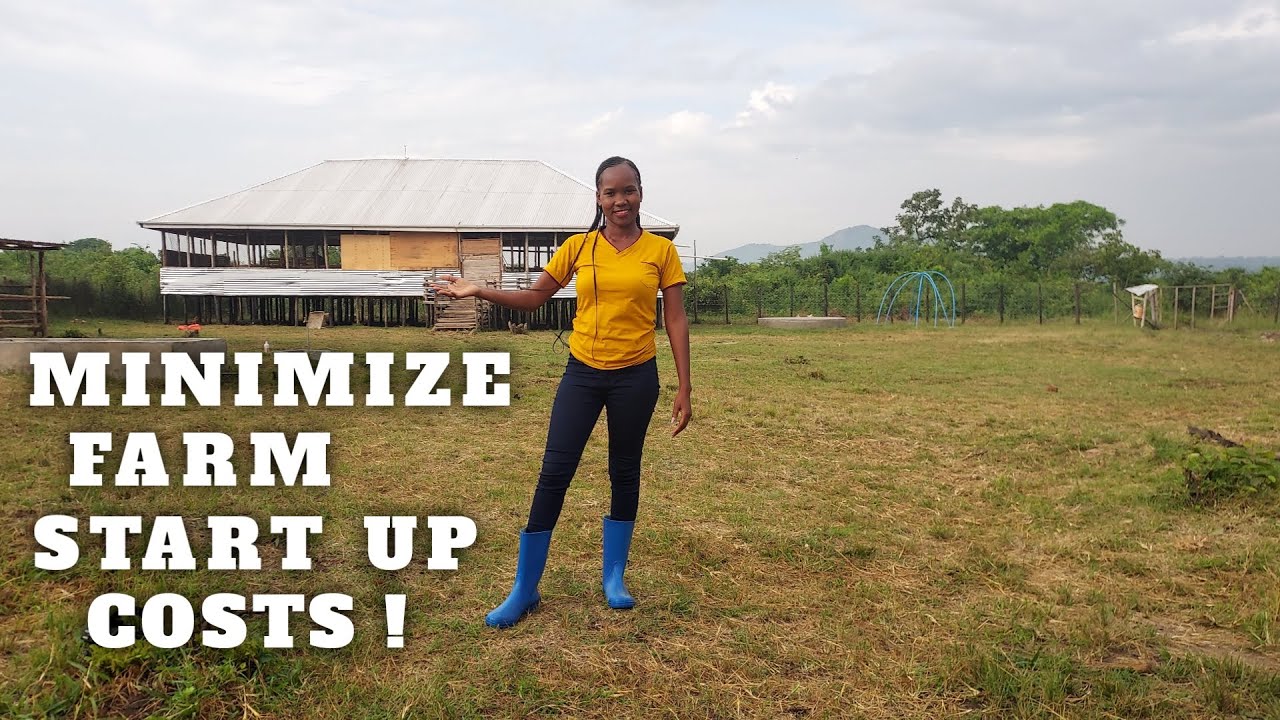 How To SUCCEED In Farming Business As A BEGINNER! | Essentials