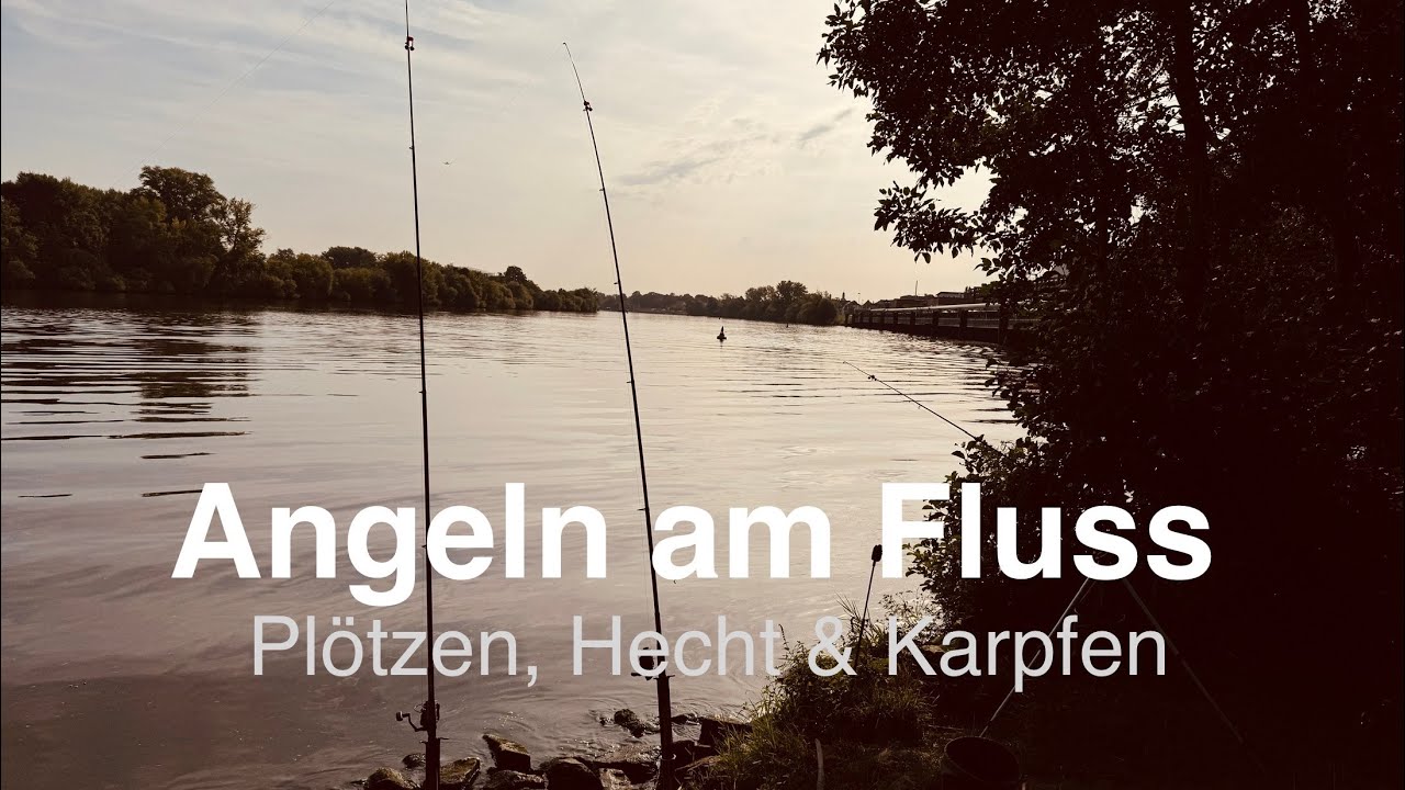 Angeln am Main - Hecht, Karpfen und Pl&ouml;tzen. Grundangeln am Fluss mit &Uuml;bernachtung