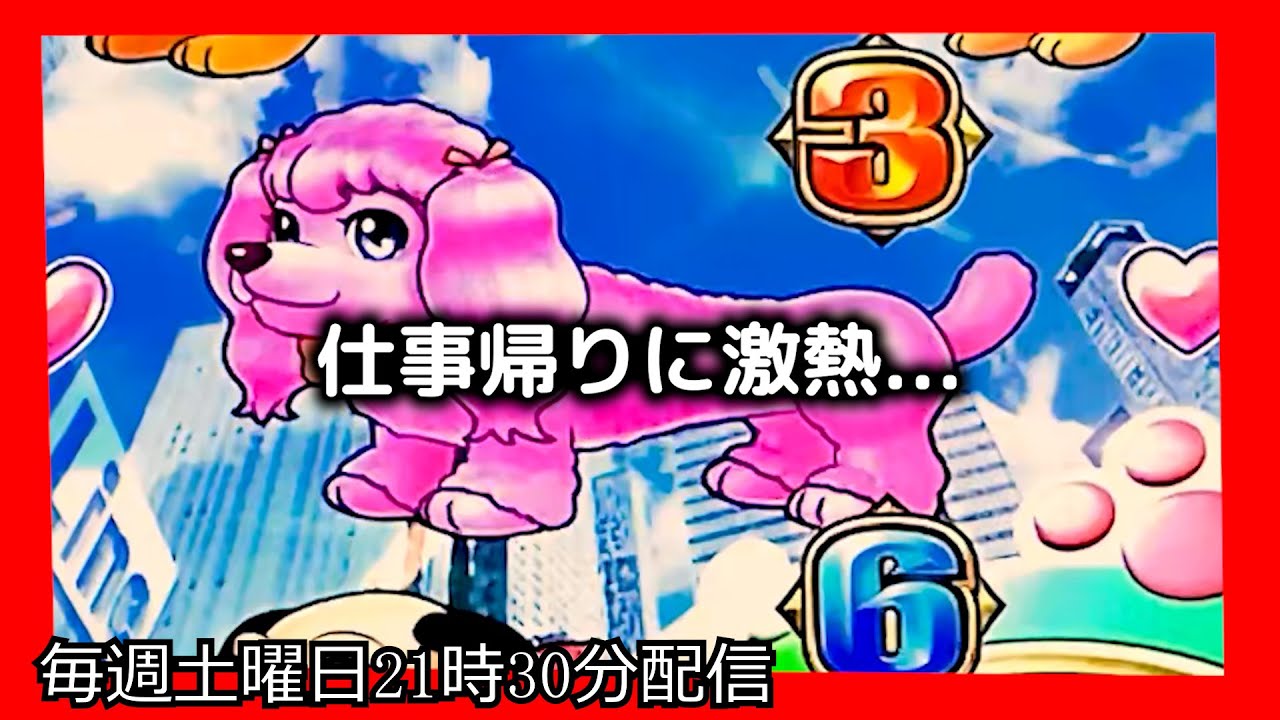 ラッキートリガーでお金を増やそうとしてみたら、とんでもない激熱がやってきました。【PAわんわんパラダイスCELEBRATION】【沖海5 パチンコ 海物語 ライブ ガチ践大海5!】#パーラーあげ実