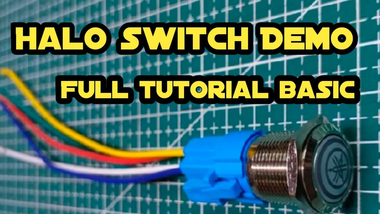 Halo switch Demo Full Tutorial basic