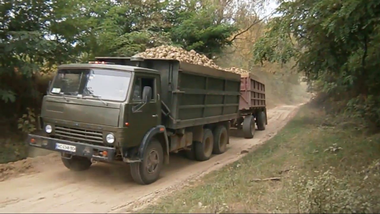 Вывоз сахарной свеклы 2017 | Sugar beet trucks collection