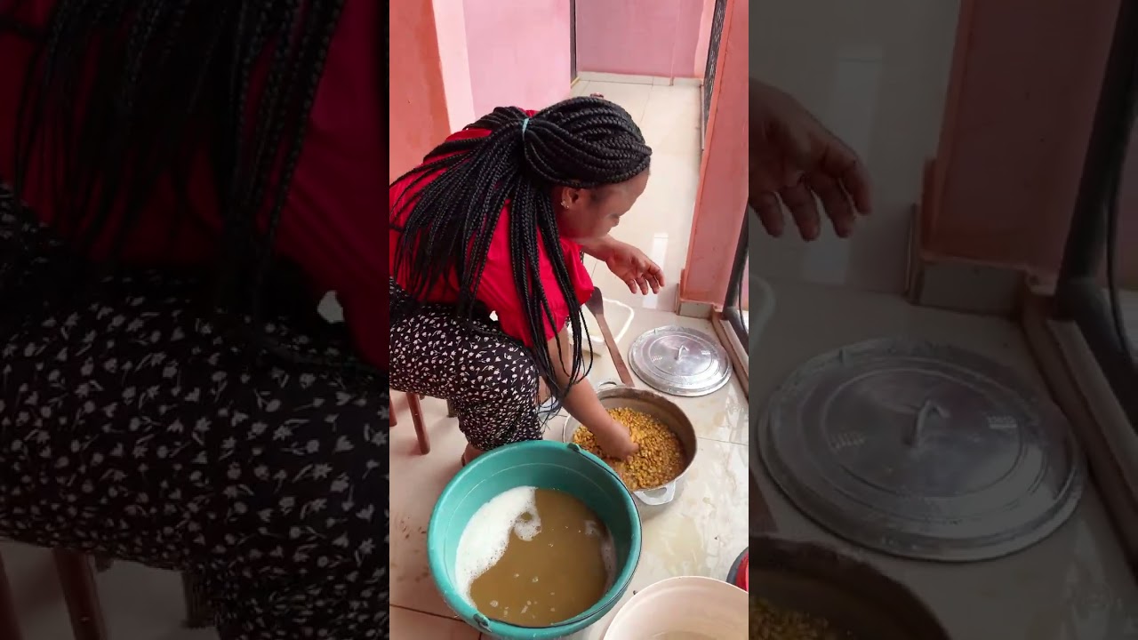 Preparing dry maize 🌽 to make corn chaff