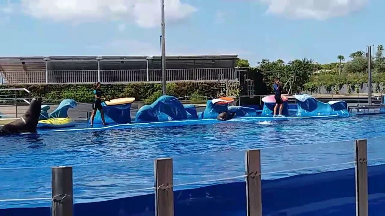 Marineland mallorca