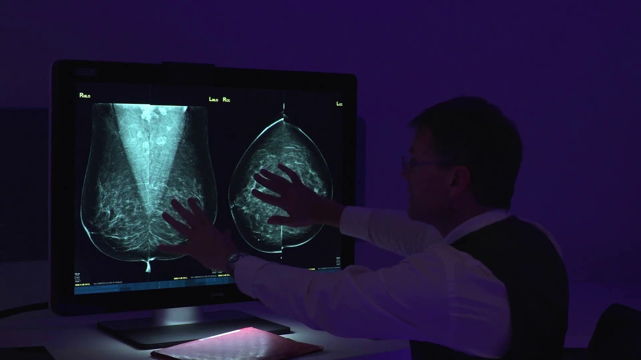 FMVZ UNAM IMAGENOLOGÍA VETERINARIA: Interpretación radiográfica en 15 minutos!!