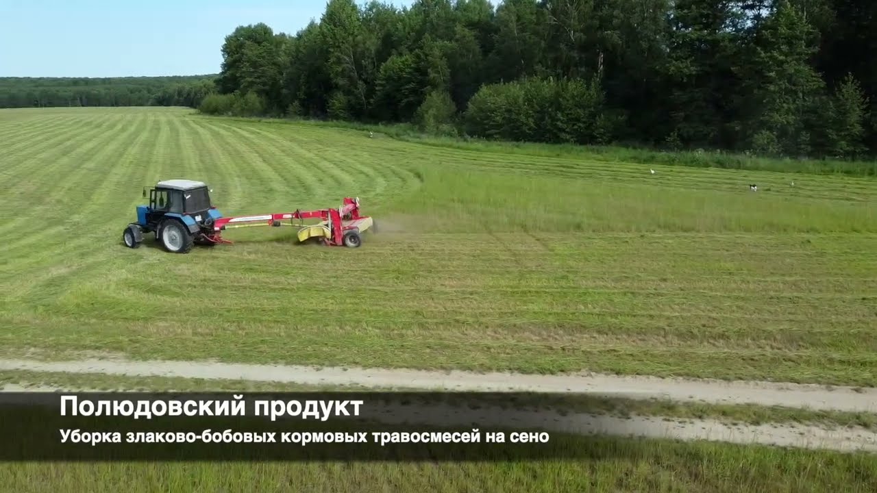 Косим траву на сено. Первый укос. 2023 (Baling hay)