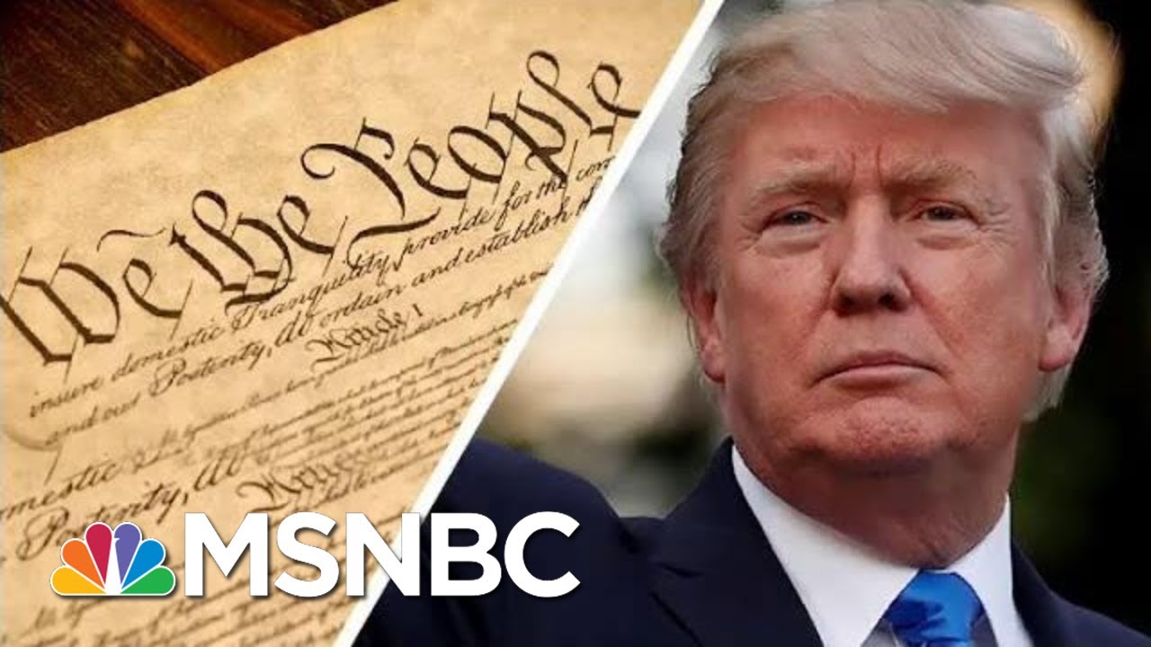 Trump Says The 'Phony' Constitution 'Doesn't Matter' Because He's 'Rich' | MSNBC