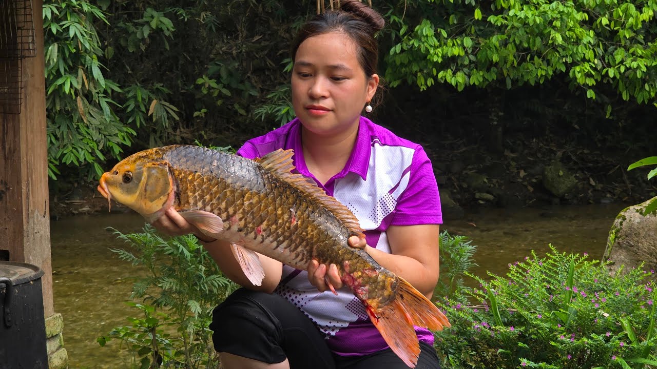 Catch Fish: Grill & Cook Sour Soup | Harvesting Taro To Cook Food For Pigs - Lý Thị Ca
