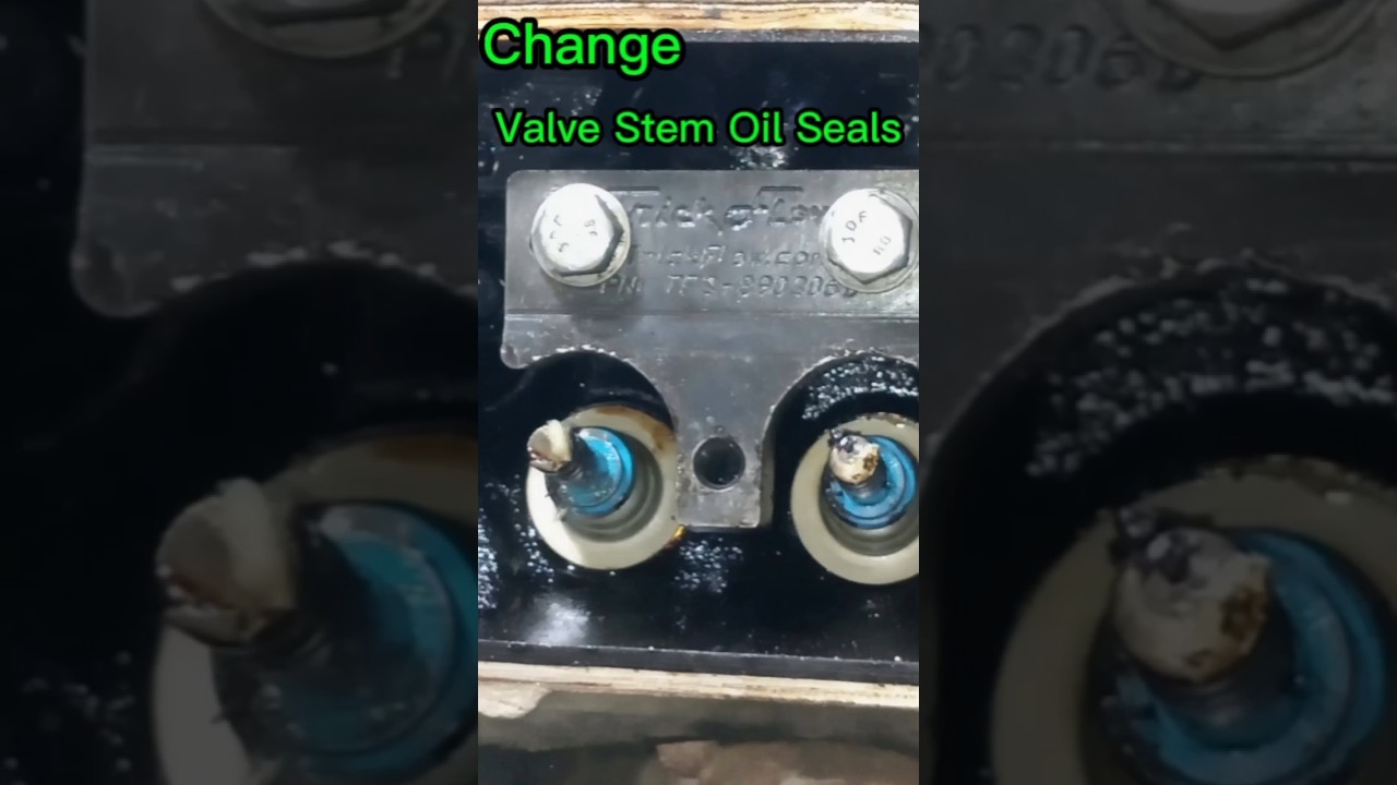 Change Valve Stem Oil Seals Without Removing Head. #car #automobile #@AutoMechanic88
