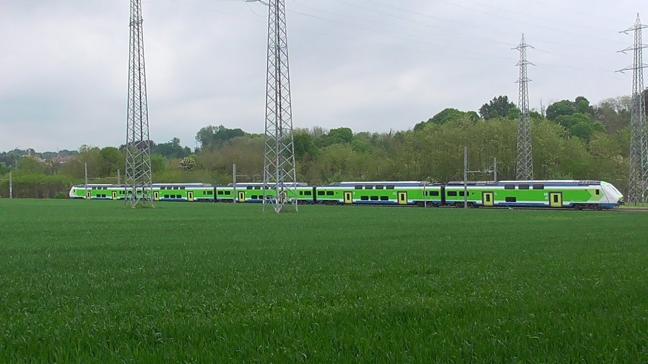 TRENI NEL BOSCO DI CARIMATE