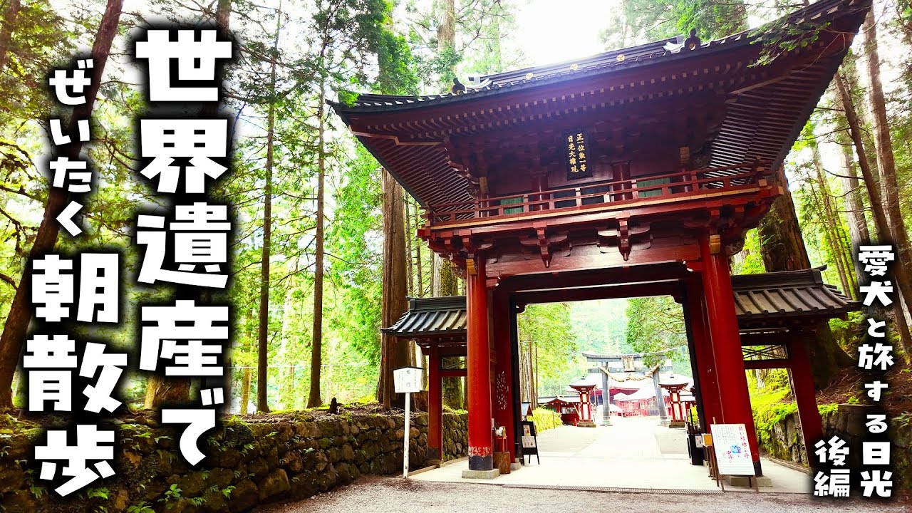 42話愛犬と旅する日光　後編