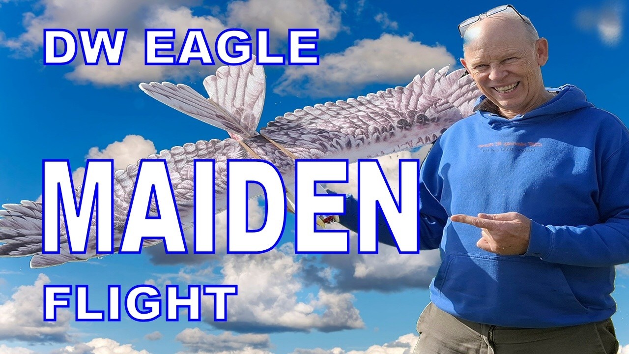 Dancing Wings Eagle Amazingly Good MAIDEN FLIGHT